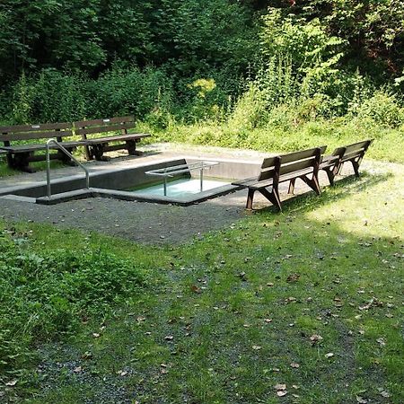 Bergzeit In Langewiese - Appartment Landelijke Star Winterberg Eksteriør bilde